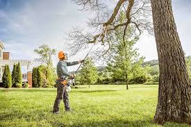 Leaf Removal in Reinbeck, IA